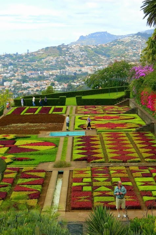 Guided Tuk-Tuk Tour to Botanical Garden (From Funchal) - The Botanical Garden Portion: What You Should Expect to See