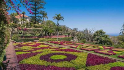 Guided Tuk-Tuk Tour to Botanical Garden (From Funchal) - From Funchal’s Center to Quinta do Bom Sucesso: How the Drive Feels