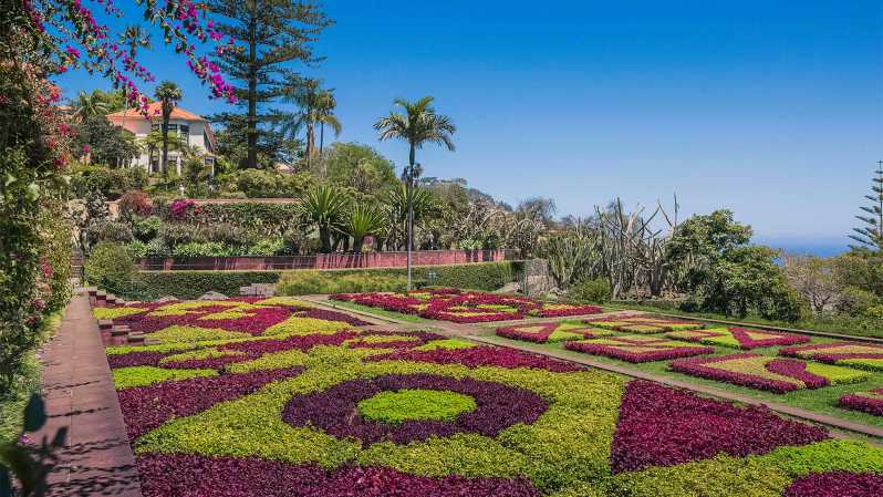 Guided Tuk-Tuk Tour to Botanical Garden (From Funchal) - From Funchal’s Center to Quinta do Bom Sucesso: How the Drive Feels