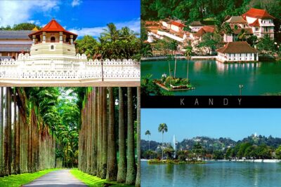 Half-Day Kandy City Tour by Tuk Tuk - Stop 1: Royal Botanical Gardens in Peradeniya (1.5 hours)