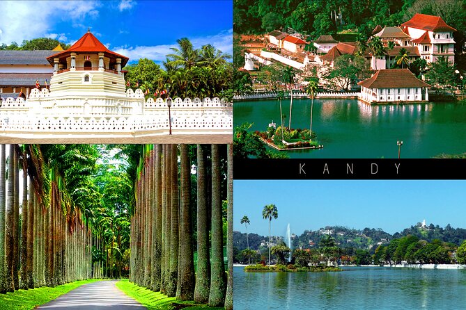 Half-Day Kandy City Tour by Tuk Tuk - Stop 1: Royal Botanical Gardens in Peradeniya (1.5 hours)
