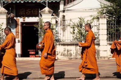 half day morning tour by Tuk-Tuk - Battambang Sights: Colonial Buildings and a Real Market Stop