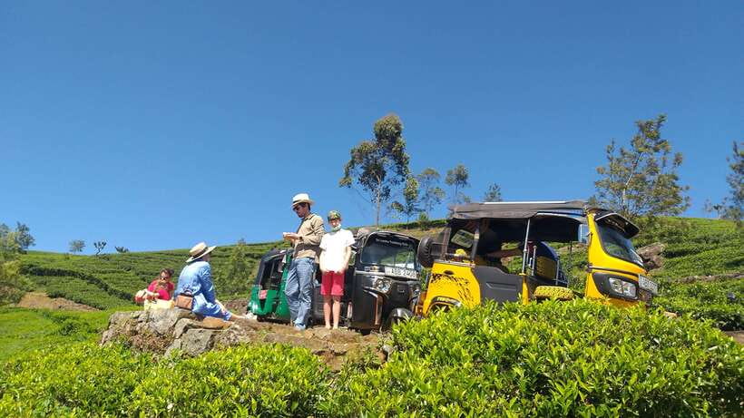 Haputale:Glorious Tuk Tuk Ride to Lipton'sSeat & Tea Factory - Dambatenne Tea Factory: what processing actually looks like