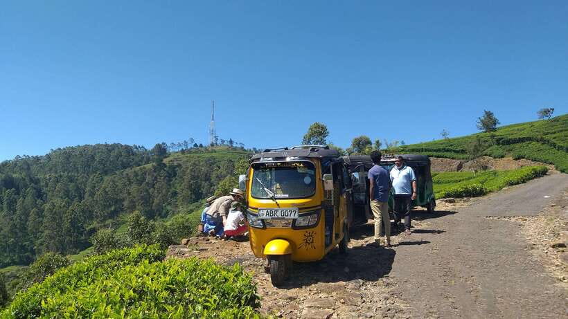 Haputale:Glorious Tuk Tuk Ride to Lipton'sSeat & Tea Factory - Tea tasting and the best way to enjoy the finish