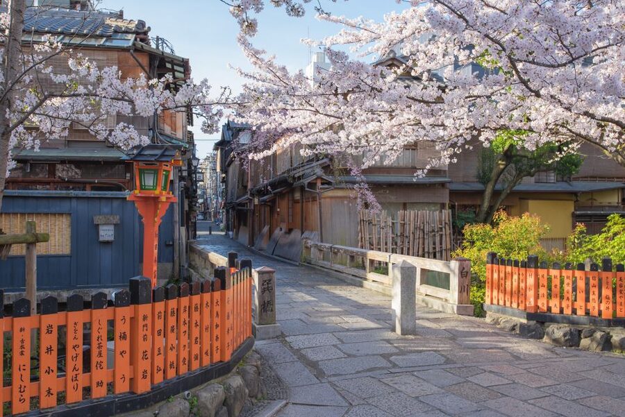 Higashiyama | Kyoto: Sakura Season Private Rickshaw Tour - Why a private rickshaw works so well in Higashiyama sakura season