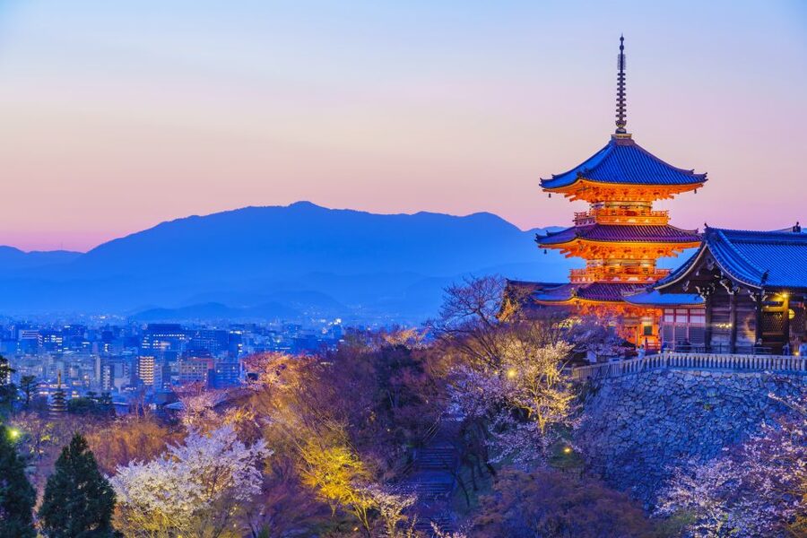 Higashiyama | Kyoto: Sakura Season Private Rickshaw Tour - Price and value: is $125 worth it?