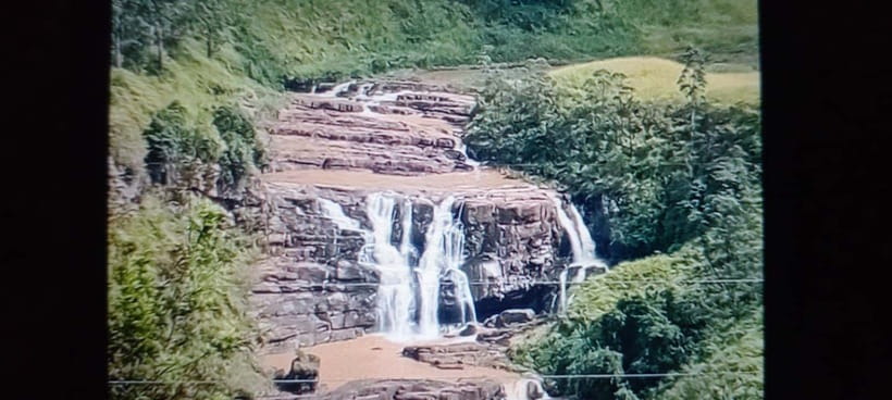 High-Grown Tea & Waterfall Wonders of Nuwara Eliya by tuktuk - Key highlights worth your time