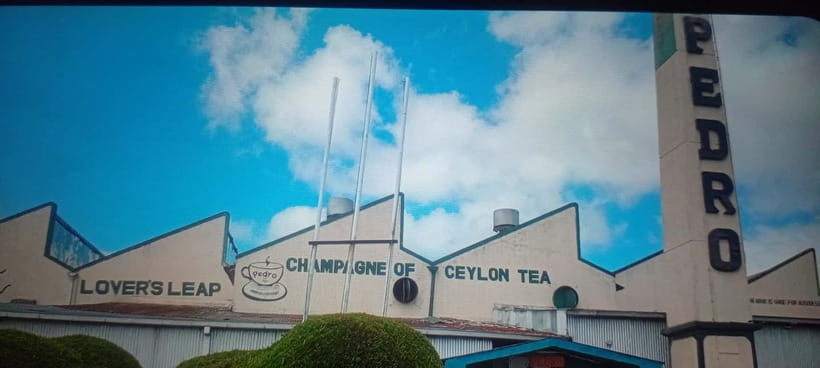 High-Grown Tea & Waterfall Wonders of Nuwara Eliya by tuktuk - Nuwara Eliya Post Office and Lake Gregory: the quick mood setters