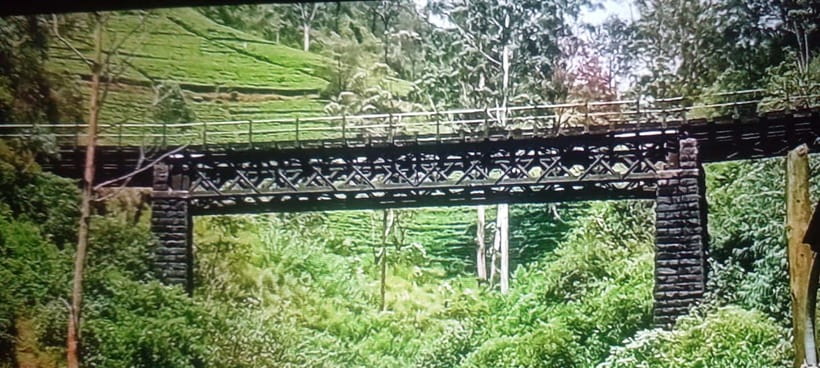 High-Grown Tea & Waterfall Wonders of Nuwara Eliya by tuktuk - Price and value: what $30 for up to 3 people really means
