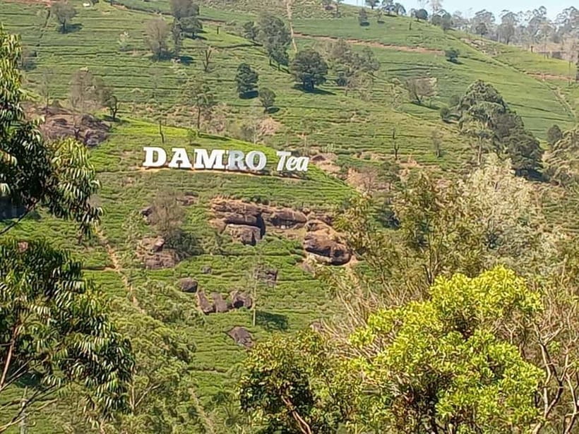 High-Grown Tea & Waterfall Wonders of Nuwara Eliya by tuktuk - Who this tour suits best (and who might not love it)