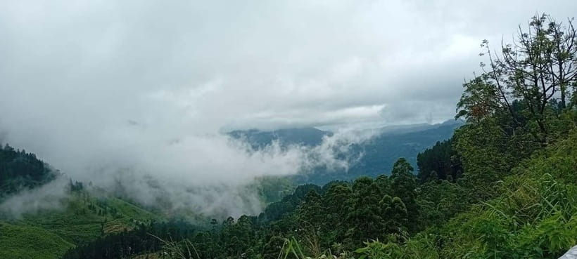 High-Grown Tea & Waterfall Wonders of Nuwara Eliya by tuktuk - A note on the guide and how the day feels