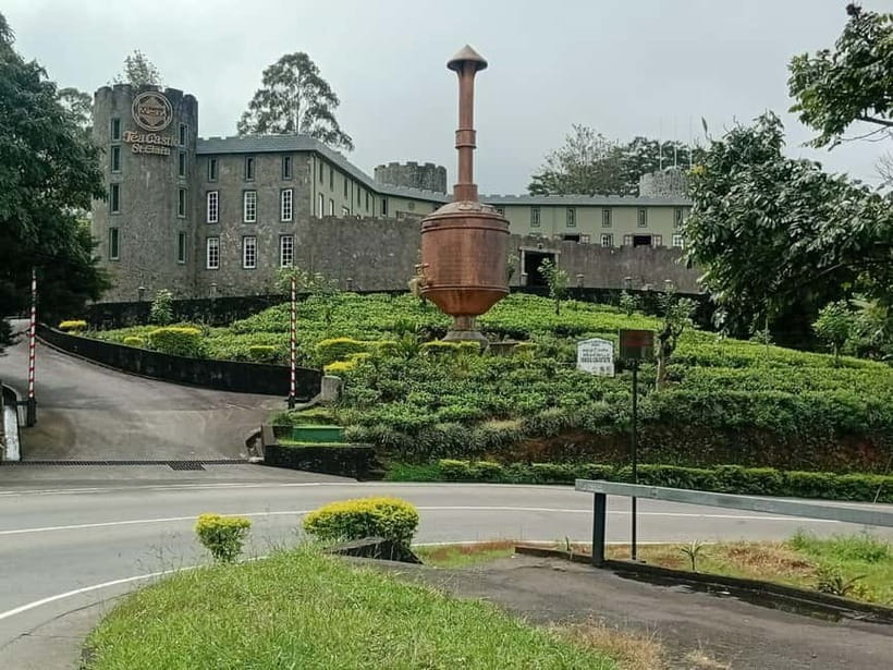 High-Grown Tea & Waterfall Wonders of Nuwara Eliya by tuktuk - Should you book this tour?