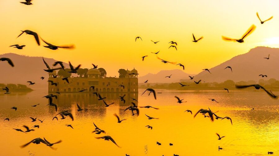 Jaipur: Full-Day Private Sightseeing Tour by Tuk Tuk - Panna Meena ka Kund: The Stepwell Detour You’ll Actually Remember