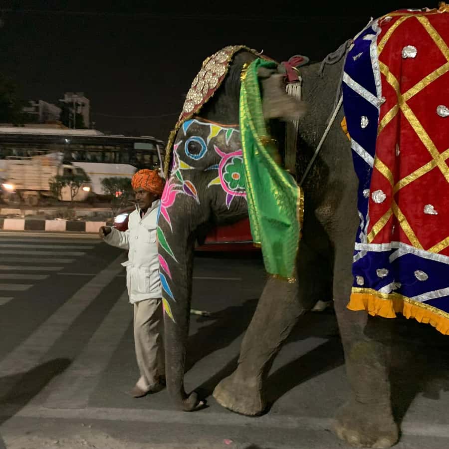 Jaipur: Night Tuk-Tuk Tour With Friendly Local Driver - Optional detours: dinner, street markets, and souvenir stops
