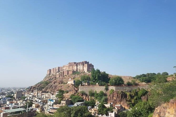 Jaipur Pink City Tour by Car or Tuk-Tuk - Gaitore Ki Chhatriyan: royal cenotaphs and a peaceful break