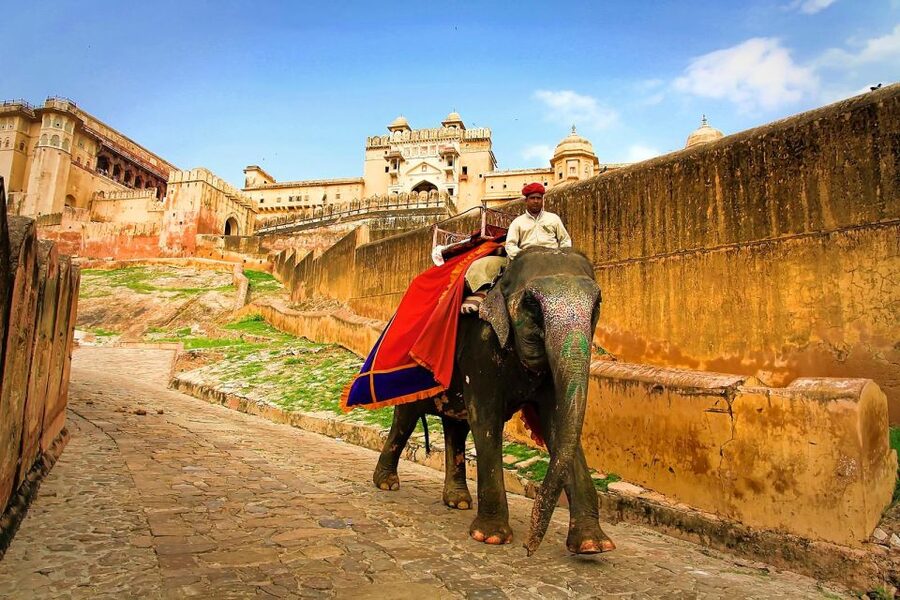 Jaipur: Private Full-Day City Tour by Tuk-Tuk or Car - How a 10-hour private tour really feels in Jaipur