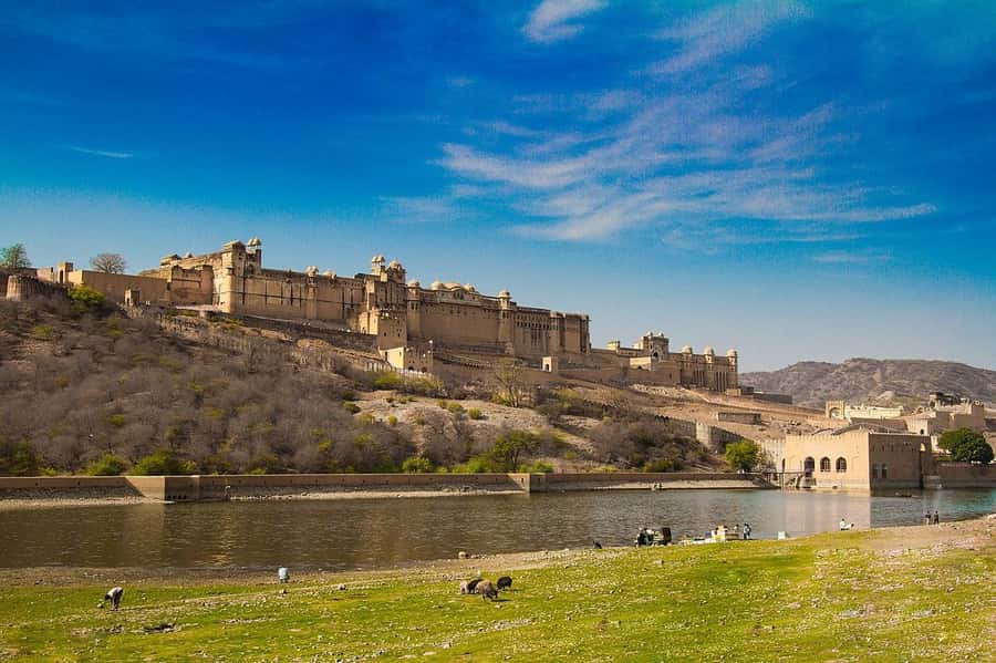 Jaipur: Private Full-Day Sightseeing Tour by Tuk-Tuk - Jal Mahal Photo Stop: The Water Palace Moment