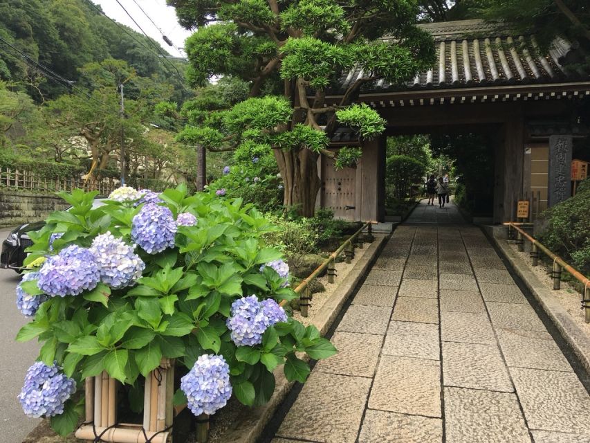 Kamakura: Private History and Heritage Tour by Rickshaw - Choosing Your Tour Length: 45 Minutes to a Full Heritage Loop