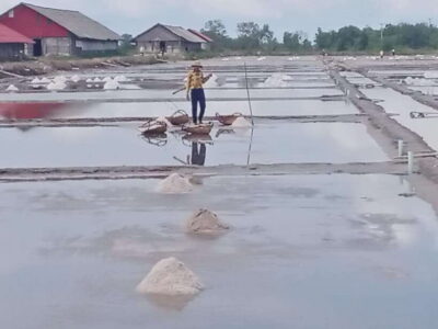 Kampot: Tuk Tuk Trip to Pepper Farm, Kep, Crab Market & More - Salt Fields: The Quiet Work You Can Actually See