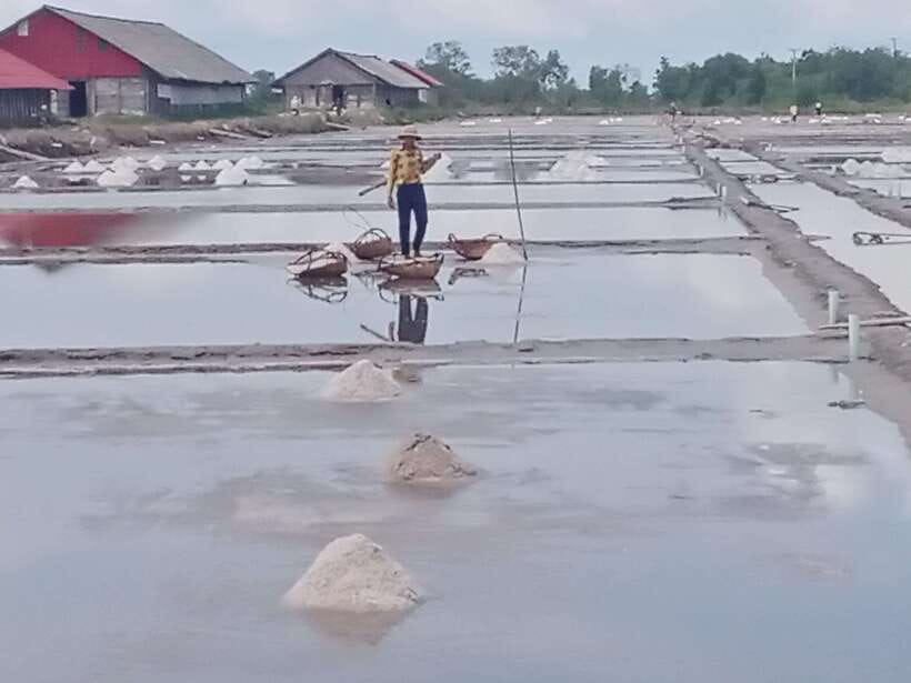 Kampot: Tuk Tuk Trip to Pepper Farm, Kep, Crab Market & More - Salt Fields: The Quiet Work You Can Actually See
