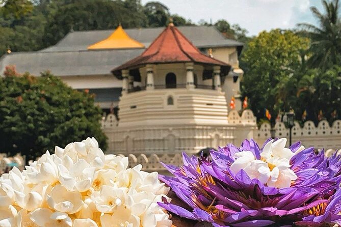 Kandy City Sightseeing and Ambuluwawa Tower by Tuk Tuk Tour - How long it really feels (and why the tuk-tuk helps)