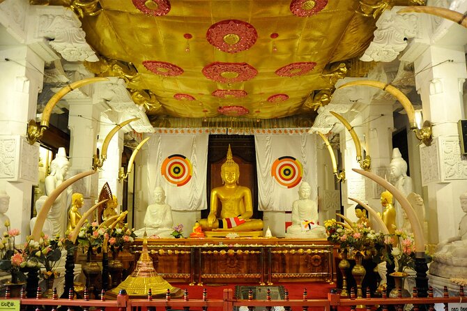 Kandy City Sightseeing Tour by Tuk Tuk - Royal Botanical Gardens Peradeniya: where your eyes get a break