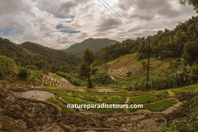 Kandy City Tour in a TukTuk - Historic temple loop: Tooth Relic, Embekka, Lankatilaka, Gadaladeniya