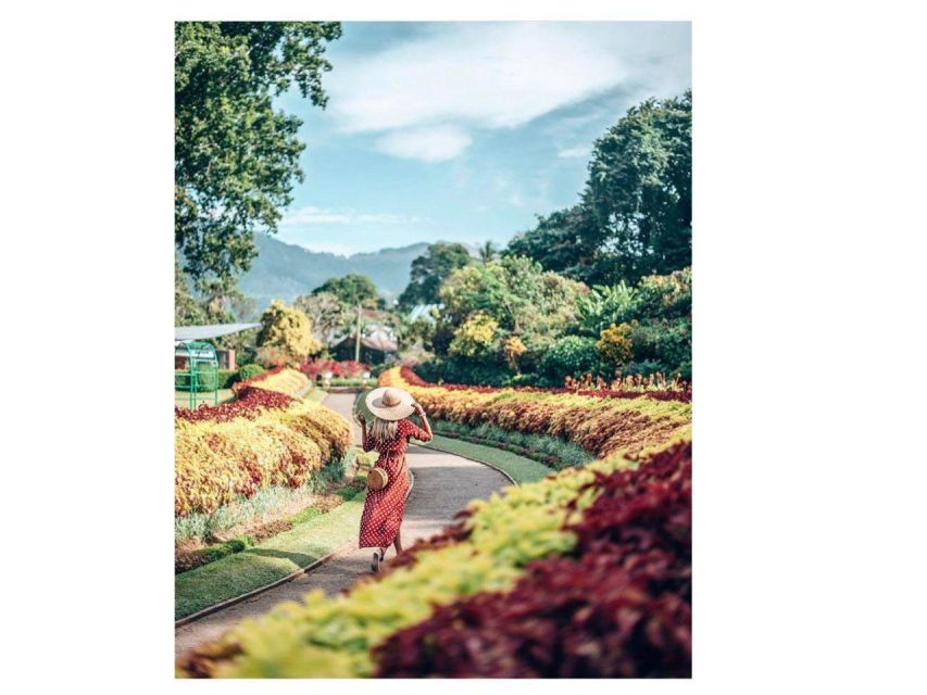 Kandy: City Tuk-Tuk Day Tours with a Local Guide - FAQ
