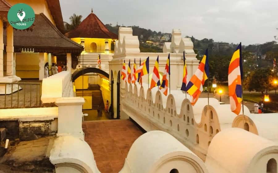 Kandy: Local Guided City Explore by Tuk Tuk - Kandy Central Market: a smart break for snacks and last-minute shopping
