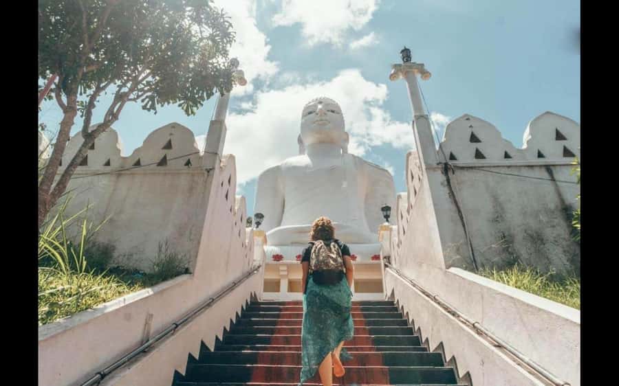 Kandy: Local Guided City Explore by Tuk Tuk - Pickups, drops, and how the day actually runs