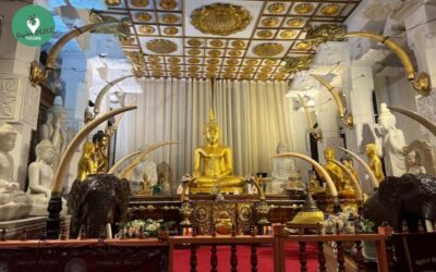 Kandy: Local Guided City Explore by Tuk Tuk - Price and value: the $8 starting point plus entry tickets
