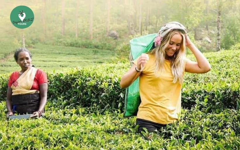 Kandy: Nuwara Eliya Day Explore by Tuk tuk with Local Guide - Key highlights worth your attention