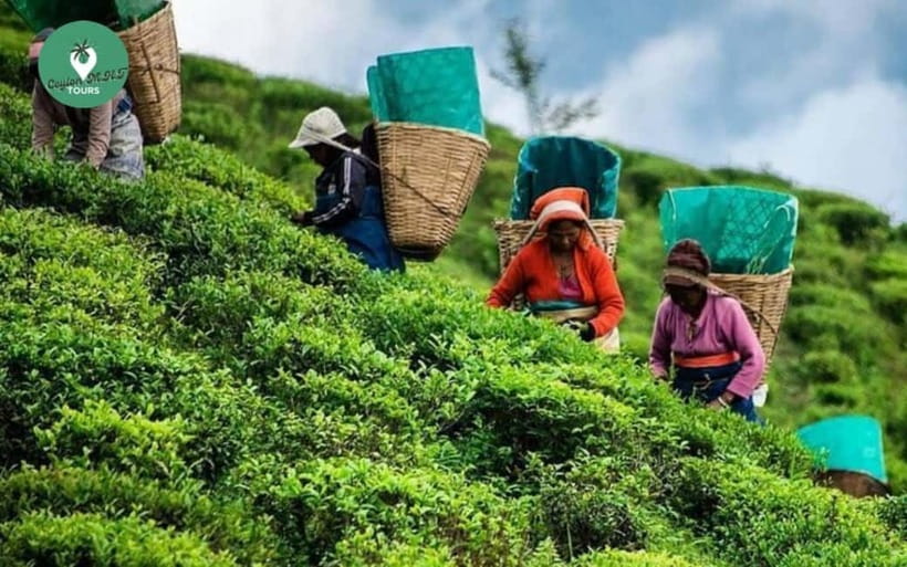 Kandy: Nuwara Eliya Day Explore by Tuk tuk with Local Guide - Ramboda Falls: the guided trek is the payoff