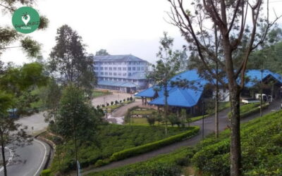 Kandy: Nuwara Eliya Day Explore by Tuk tuk with Local Guide - From Kandy by tuk tuk: a long day that’s broken into wins