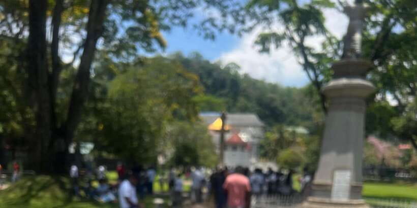 Kandy: Private City Highlights Guided Tour by Tuk-Tuk - Price and Logistics: Where the Real Cost Comes From