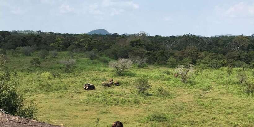 Kandy: Sigiriya, Dambulla & Wildlife Safari Private Tour - Key Points Worth Planning For