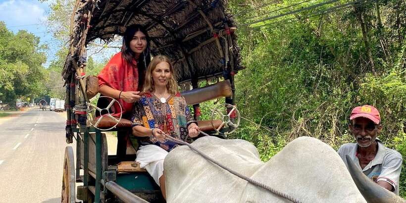 Kandy: Sigiriya, Dambulla & Wildlife Safari Private Tour - Habarana 4x4 Wildlife Jeep Safari: Elephants and Birds, With Seasonal Logic
