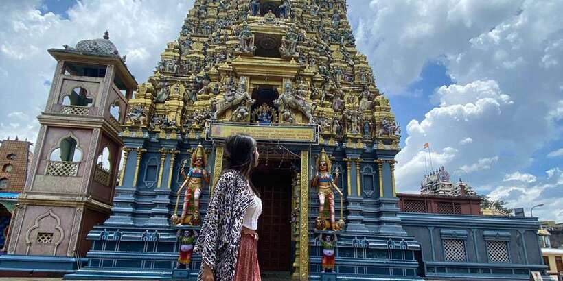 Kandy: Sigiriya, Dambulla & Wildlife Safari Private Tour - Who This Tour Fits (and Who Should Skip)