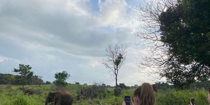 Kandy: Sigiriya, Dambulla & Wildlife Safari Private Tour - Book It or Pass: My Decision Guide