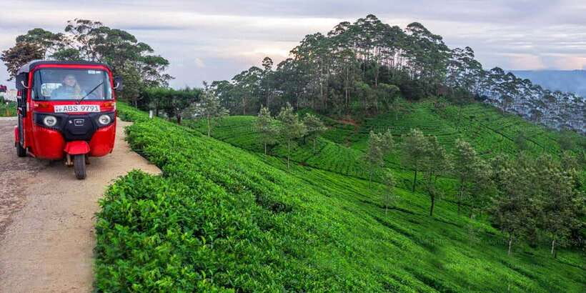 Kandy To Nuwara Eliya Day Tour By Tuk Tuk Sri lanka - The 7.45AM Start: How the Day Flow Feels