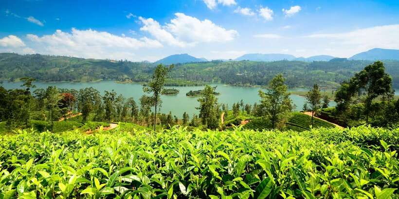 Kandy To Nuwara Eliya Day Tour By Tuk Tuk Sri lanka - Asgiriya Stupa: A Quick Cultural Warm-Up