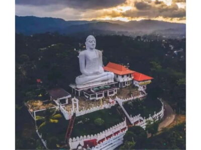 Kandy to Pinnawala Day Tour By Local Tuk Tuk Expedition - Pinnawala elephants: Orphanage vs Millennium Foundation (and what that means)