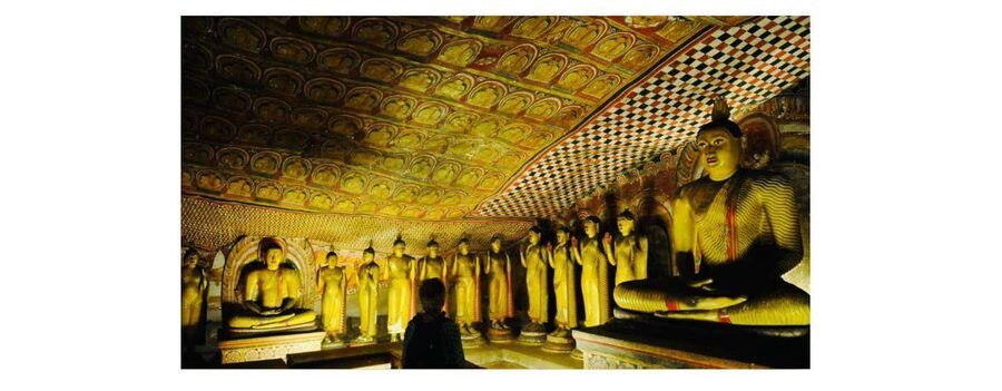 Kandy to Sigiriya Day Tours Tuk Tuk by Local - Herbal Cinnamon and Spice Garden: why this stop is more than a souvenir stop
