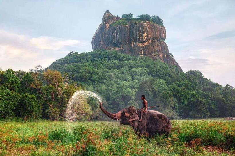 Kandy to Sigiriya Private Tour by Tuk Tuk with All Fees - Cinnamon and spices in Matale: a stop that makes everything else make sense