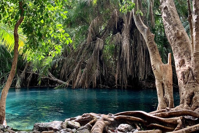 Kikuletwa Chemka Hot Springs Bicycle or Tuk Tuk Day Trip - Kikuletwa Hot Springs: refreshing water, rope swing, and doctor fish