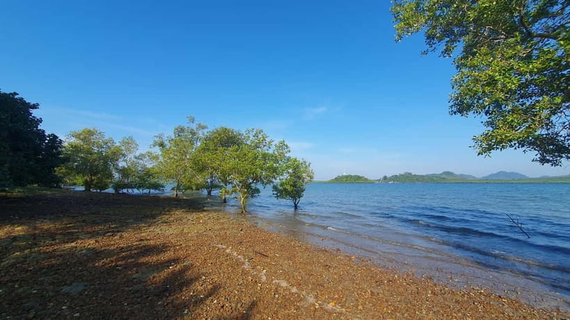 Koh Lanta Cultural Tuk-Tuk Tour: Old Town, Batik & Mangroves - Pickup Rules and the 300 Baht Southern Area Catch
