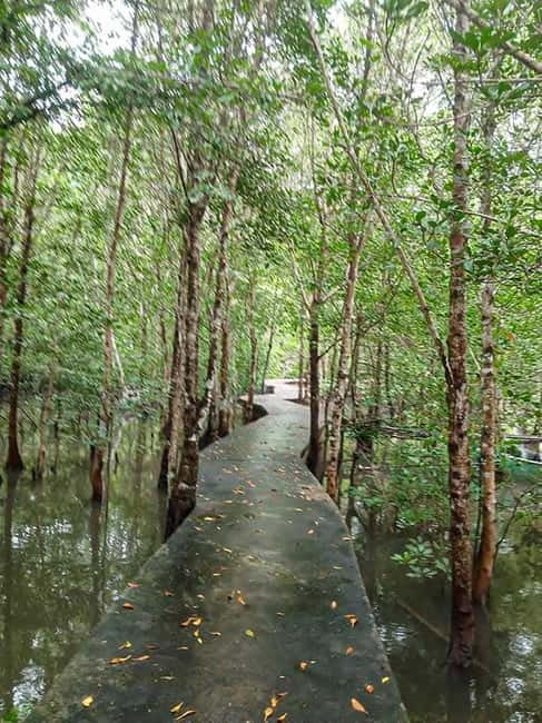 Koh Lanta Cultural Tuk-Tuk Tour: Old Town, Batik & Mangroves - Mangrove Forest Walk: Quiet Nature, With Optional Kayak Time