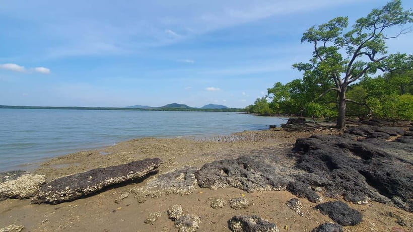 Koh Lanta Cultural Tuk-Tuk Tour: Old Town, Batik & Mangroves - English on This Tour: What to Expect in Real Terms
