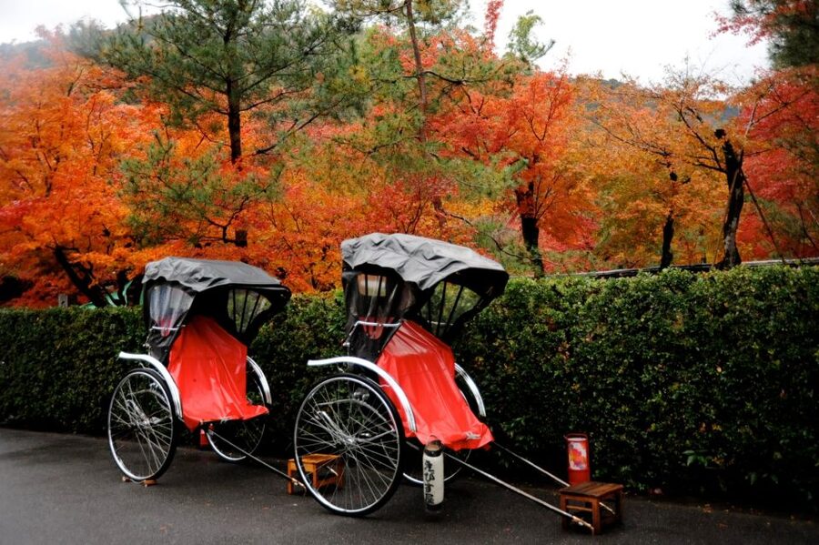 Kyoto: Arashiyama Customized Rickshaw Tour & Bamboo Forest - Who should book this Arashiyama rickshaw ride