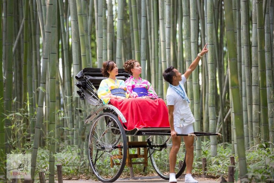 Kyoto: Arashiyama Customized Rickshaw Tour & Bamboo Forest - Nonomiya Shrine: a calm Shinto pause in the Arashiyama rhythm